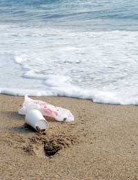 The Impact of Plastic Bags at Sea