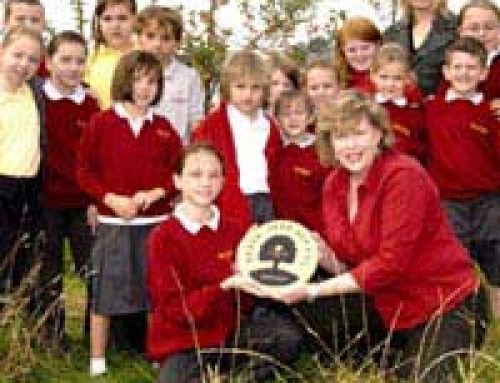 Planting a Woodland Area in School: A Case Study