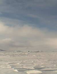 The Poles in Peril: The Vanishing Arctic